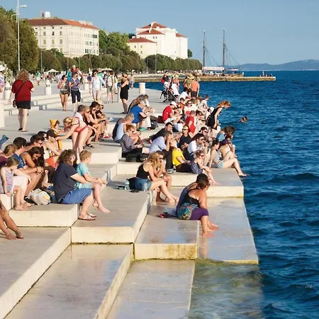 81 With Game Zadar
